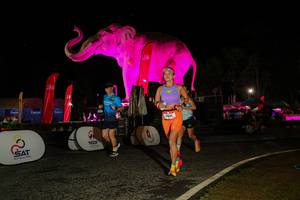 BIB: 
                            <button type="button" onclick="openModal(26534493)" class="btn btn-primary btn-sm float-right btn-popup" data-toggle="modal" data-target=".modal-high-quality">
                        <i class="fas fa-shopping-cart"></i> Add to Cart
                    </button>
                                            <button type="button" onclick="isThisMe(26534493, true)" class="btn btn-success btn-sm float-right btn-popup btn-isme hidden" data-toggle="tooltip" data-placement="bottom" title="นี่คือรูปของคุณใช่ไหม คลิกที่นี่เพื่อเอาเข้าอัลบั้ม">
                        <i class="fas fa-plus"></i> Add to album
                    </button>
                    <button type="button" onclick="isThisMe(26534493, false)" class="btn btn-warning btn-sm float-right btn-popup btn-isnotme hidden">
                        <i class="fas fa-ban"></i> Remove from album
                    </button>